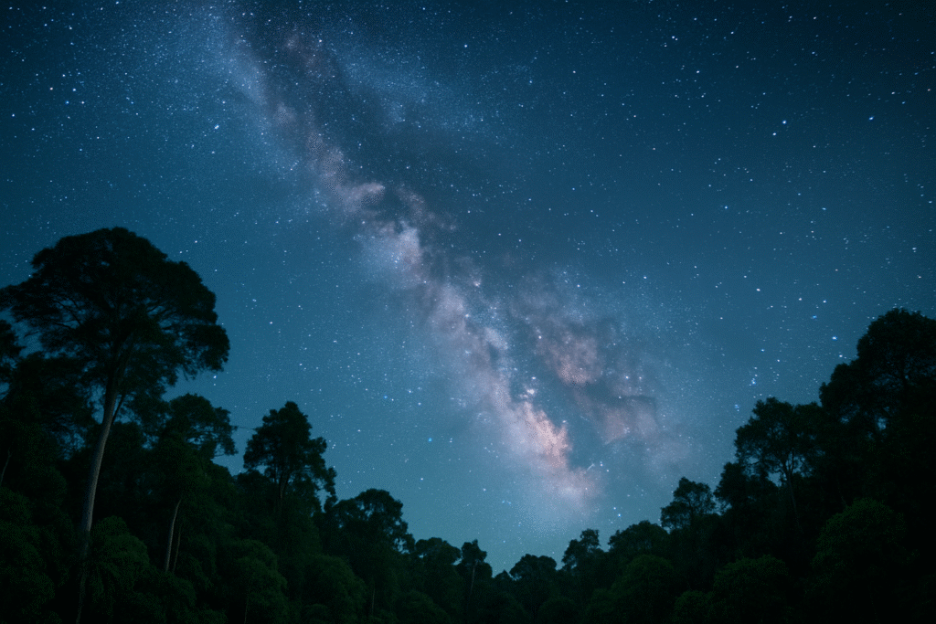 the season for treeson | alphamail blog